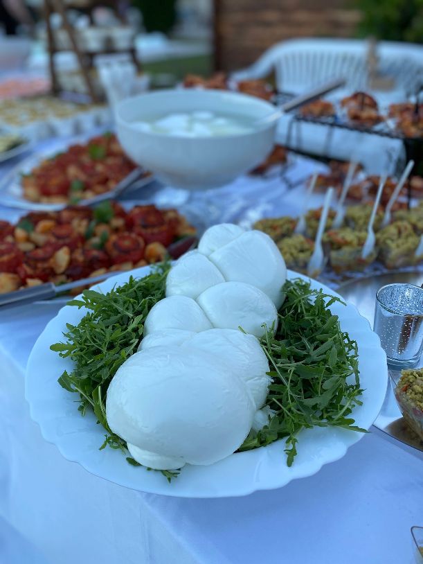 Mozzarella fresca su letto di rucola